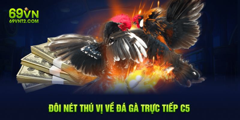 Đôi nét thú vị về đá gà trực tiếp C5