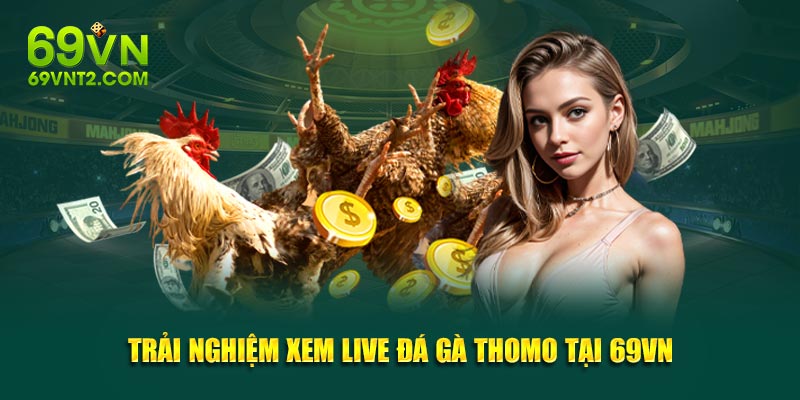 Trải nghiệm xem live đá gà Thomo tại 69VN